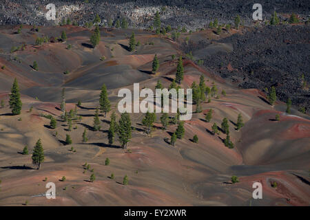 Dunes peint avec des pins, Lassen Volcanic National Park, California, United States of America Banque D'Images