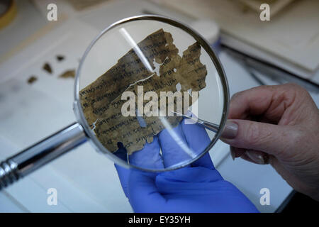 Un travailleur de l'Israel Antiquities Authority coud des fragments de la mer morte dans un laboratoire de conservation au Musée d'Israël à Jérusalem Israël Banque D'Images