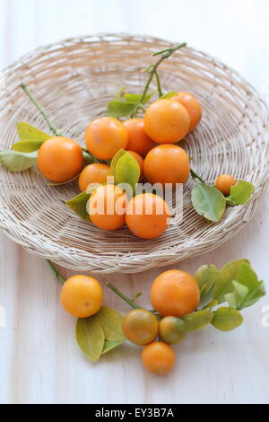 Entièrement mûres calamondin, Kumquat, Citrofortunella microcarpa dans un panier sur planche de bois Banque D'Images