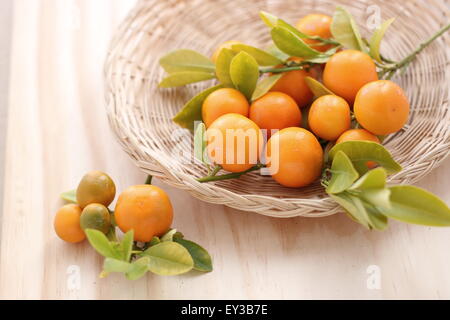 Entièrement mûres calamondin, Kumquat, Citrofortunella microcarpa dans un panier sur planche de bois Banque D'Images