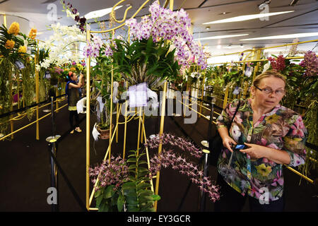 Bangkok, Thaïlande. 21 juillet, 2015. Une femme visite le 9ème Siam Paragon Bangkok Royal Orchid Paradise à Bangkok, Thaïlande, le 21 juillet 2015. Plus de 120 types d'orchidées de toute la Thaïlande ont été mis en spectacle comme le 9ème Siam Paragon Bangkok Royal Orchid Paradise a débuté mardi à Bangkok. © Li Mangmang/Xinhua/Alamy Live News Banque D'Images