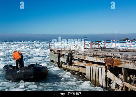 Un membre du personnel sur un bateau en caoutchouc près d'une jetée sur l'océan gelé à base Esperanza. Les manchots Adélie sur la jetée. Banque D'Images