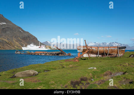 Vue de l'Akademik Sergey Vavilov, un navire de recherche polaire russe, près de Grytviken en Géorgie du Sud. Banque D'Images