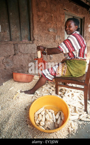 Une femme utilise un simple sheller pour extraire les grains de maïs de l'épi, Himo, région de Kilimandjaro, Tanzanie Banque D'Images