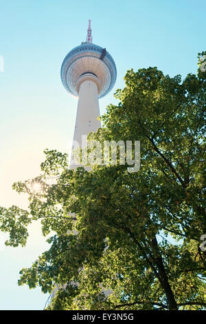 BERLIN, ALLEMAGNE - 07 juillet : Low angle shot de la tour de télévision de l'Alexanderplatz, de branches d'arbre au premier plan. Juillet 07, 2015 Banque D'Images