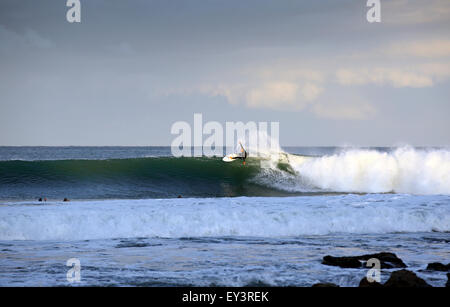 Nord surfeur professionnel Kelly Slater surf une vague dans Jeffreys Bay, Afrique du Sud Banque D'Images