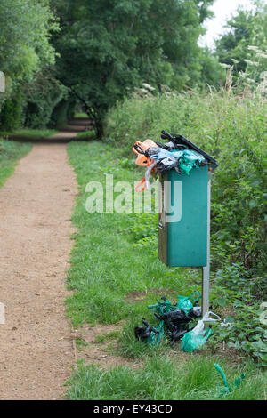 Corbeille chien débordant sur un chemin forestiers dans la campagne anglaise. UK Banque D'Images