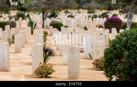 Rangées de tombes, alliés seconde guerre mondiale mémorial, El Alamein, en Égypte Banque D'Images