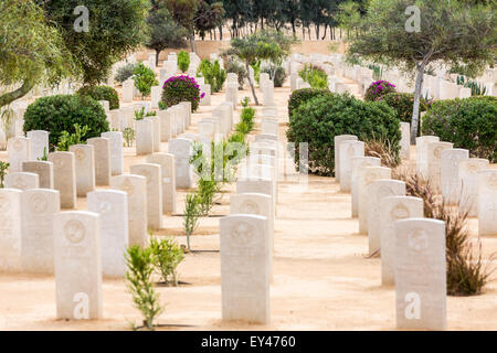 Rangées de tombes, alliés seconde guerre mondiale mémorial, El Alamein, en Égypte Banque D'Images