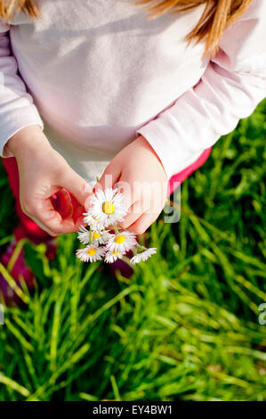 Young Girl Holding Daisies, High Angle View Banque D'Images