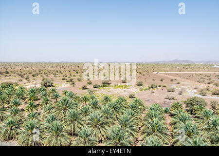 Image de paysage à fort de jabreen sultanat Oman, middle east Banque D'Images