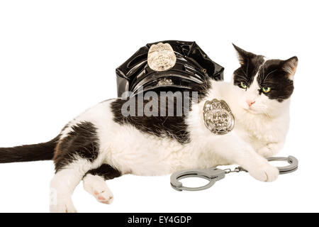 Chat de police Banque D'Images