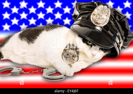 American Cop Cat Banque D'Images