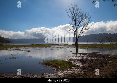 Lac Buyan à Bueleng, Bali, Indonésie. Banque D'Images