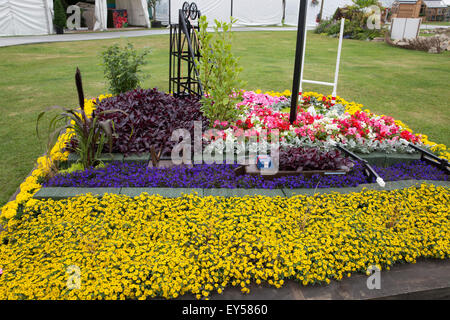 Knutsford, Royaume-Uni. 22 juillet, 2015. RHS Flower Show Tatton Park s'ouvre pour les membres de l'ERS, la route de Wigan Pier stand. Credit : Keith Larby/Alamy Live News Banque D'Images