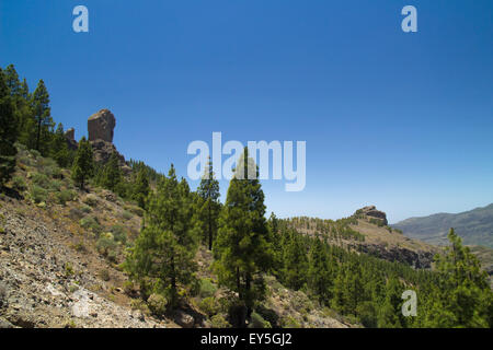 Centrale Intérieure Gran Canaria, Îles Canaries et Roque Nublo pins Banque D'Images