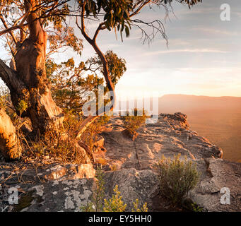 Australian bush imprenable panoramique du paysage du haut d'une montagne dans le Parc National des Grampians Banque D'Images