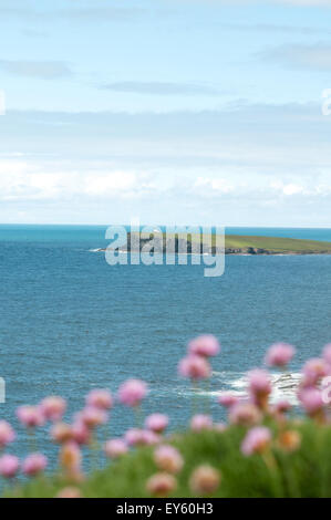 Birsay phare, Brough Head, Orkney, Scotland du Marwick Head Banque D'Images