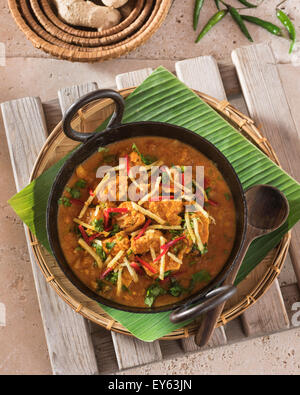 Adraki murgh. Curry de poulet au gingembre. L'alimentation de l'Inde Banque D'Images