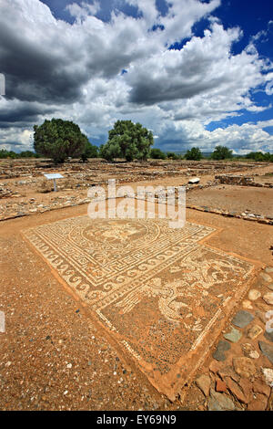 Belle mosaïque à Ancient Olynthos (Olynthus), municipalité, Polygyros ('Halkidiki Chalkidiki'), la Macédoine, la Grèce. Banque D'Images