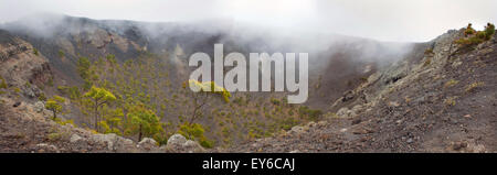 Volcan San Antonio en Canarias Canaries Crater avec brume, brouillard, pins fuencaliente de la palma Banque D'Images