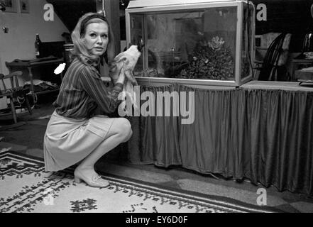 Deutsche Schauspielerin und Synchronsprecherin Ingrid van Bergen, Deutschland 1960 er Jahre. Actrice et comédienne de doublage allemand Ingrid van Bergen, Allemagne 1960. 24x36Neg446 Banque D'Images