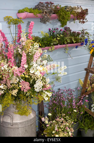 22 juillet 2015, les membres de l'ERS de la 17e journée RHS Flower Show Festival à Tatton Park, une célébration des meilleurs de jardinage avec une atmosphère de carnaval. Une magnifique journée, et pas seulement pour les amateurs de plantes, mais pour les amis et la famille aussi. Le spectacle est composé de trois "zones", chacun ayant son propre thème et saveur. Le "grandir" zone est un paradis pour les amoureux de plantes avec tant de choses à voir et à faire. Entourez-vous de la beauté dans le magnifique chapiteau floral et animé Village de plantes ; obtenir les meilleurs conseils d'experts sur l'ers l'empotage des bancs. Credit : Cernan Elias/Alamy Live News Banque D'Images