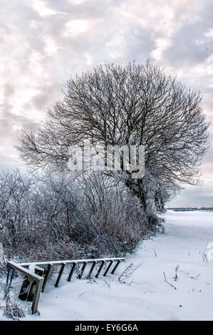 La neige fraîche se trouve sur le terrain dans la campagne la création d'une féerie d'hiver. Banque D'Images