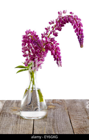 Lupin fleurs dans un vase en verre sur l'anciennes cartes Banque D'Images