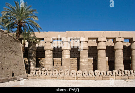 Karnak, Louxor, Egypte. Temple de Karnak sacré pour dieu Amon : vue sur le portique, dans la première cour Banque D'Images