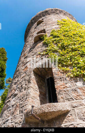 Roundtower at Powerscourt, Irlande Banque D'Images