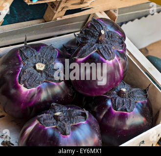 Round purple aubergines dans un marché. Banque D'Images