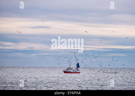 Un bateau de pêche, accompagnés par les mouettes, Lofoten, Norvège Banque D'Images