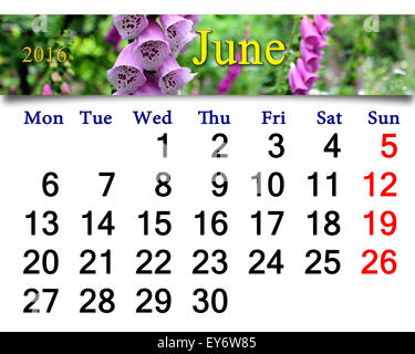 Calendrier de mai 2016 avec des fleurs de fleurs de lilas bluebells Banque D'Images