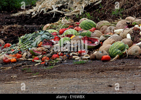 Tas de compost de fruits et légumes Banque D'Images