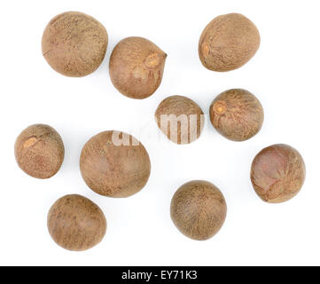 Peu d'arbre de thé (Camellia sinensis) seeds isolé sur fond blanc. Vue d'en haut. Banque D'Images