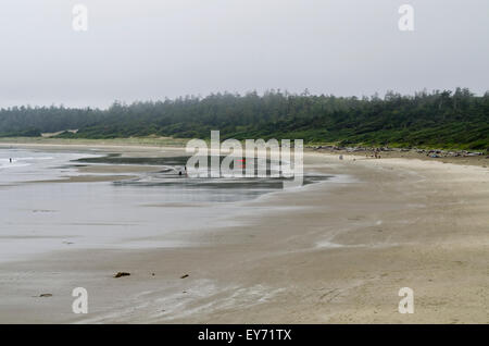 Rainy jour brumeux à Wickanninish Plage de Long Beach sur l'île de Vancouver. La Réserve de parc national Pacific Rim, Canada. Banque D'Images