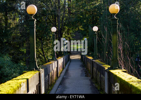 Un ancien chemin de ronde à travers l'Arboretum de Seattle Banque D'Images