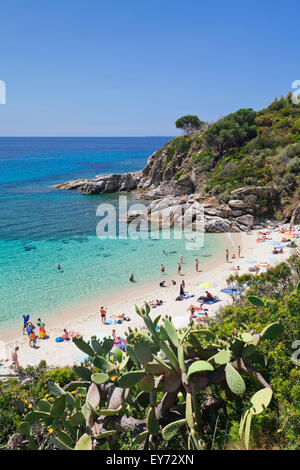 Plage de Cavoli, l'île d'Elbe, province de Livourne, Toscane, Italie Banque D'Images