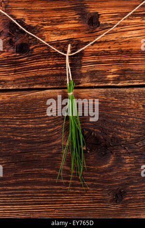 Ciboulette fraîche accroché sur string contre brown vintage en bois. Herbes culinaires, style rustique. Banque D'Images