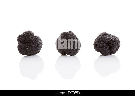 Truffe trois isolé sur blanc. Ingrédients de cuisine culinaire de luxe. Banque D'Images