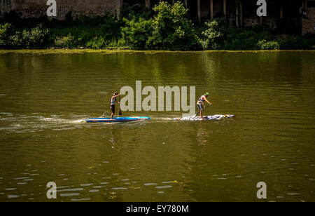 Vue latérale de deux hommes se tiennent debout paddleboard sur la rivière Arno, Florence, Italie. Banque D'Images