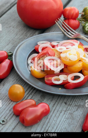 Juste préparé salade de tomates et d'oignon sur une plaque d'étain. Banque D'Images