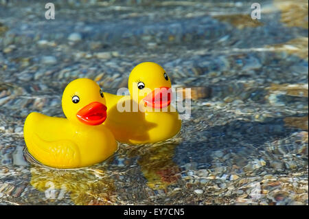 Deux duckies en caoutchouc en prenant un bain dans la mer Égée Banque D'Images