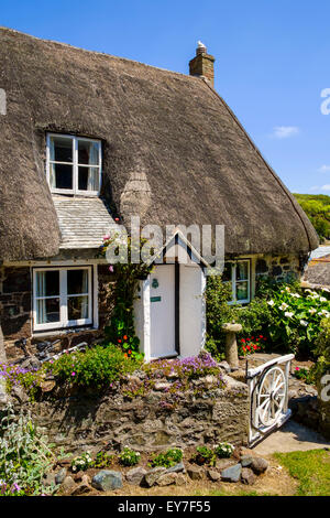 Chaumière dans petit village de Cadgwith, Péninsule du Lézard, Cornwall UK Banque D'Images