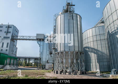 Le fer galvanisé les silos à grains dans une ferme de l'Europe de l'Est Banque D'Images