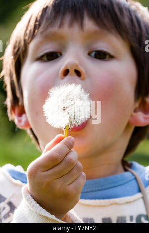 Caucasien enfant, garçon, 6-7 ans. En plein air avec Black, boy blowing dandelion seeds graines de chef-lieu près de sa bouche. Banque D'Images