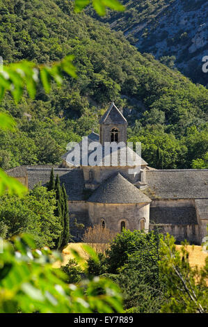 Abbaye Notre-dame de l'Abbaye de Senanque( Senaque ) , Gordes, Provence, France Banque D'Images