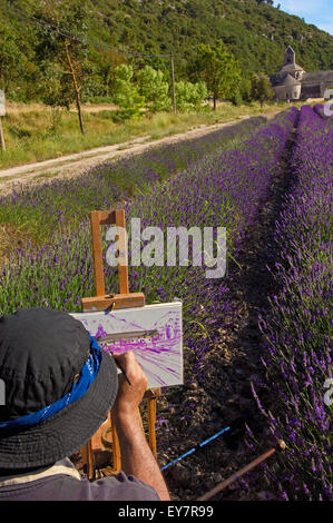 La peinture de l'artiste dans les champs de lavande à l'Abbaye Notre-dame de l'Abbaye de Senanque( Senaque ) , Gordes, Provence, France Banque D'Images