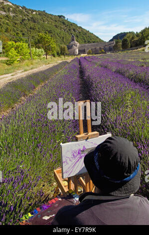 La peinture de l'artiste dans les champs de lavande à l'Abbaye Notre-dame de l'Abbaye de Senanque( Senaque ) , Gordes, Provence, France Banque D'Images